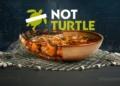 Sopa de Tartaruga, receita à base de tartaruga, comida tradicional tartaruga